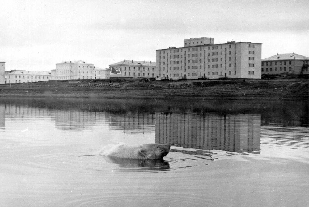 Поселок на Новой Земле