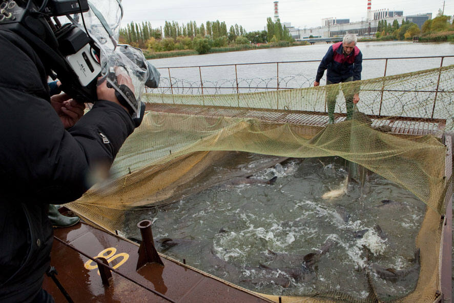 Рыбное хозяйство Курской АЭС