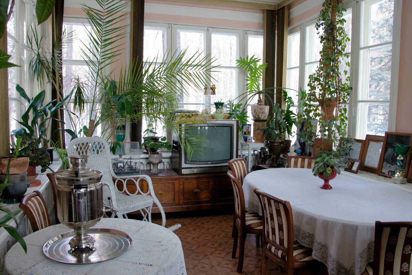 Веранда, или «зимний сад», где М. Д. Курчатова выращивала редкие и красивые растения
