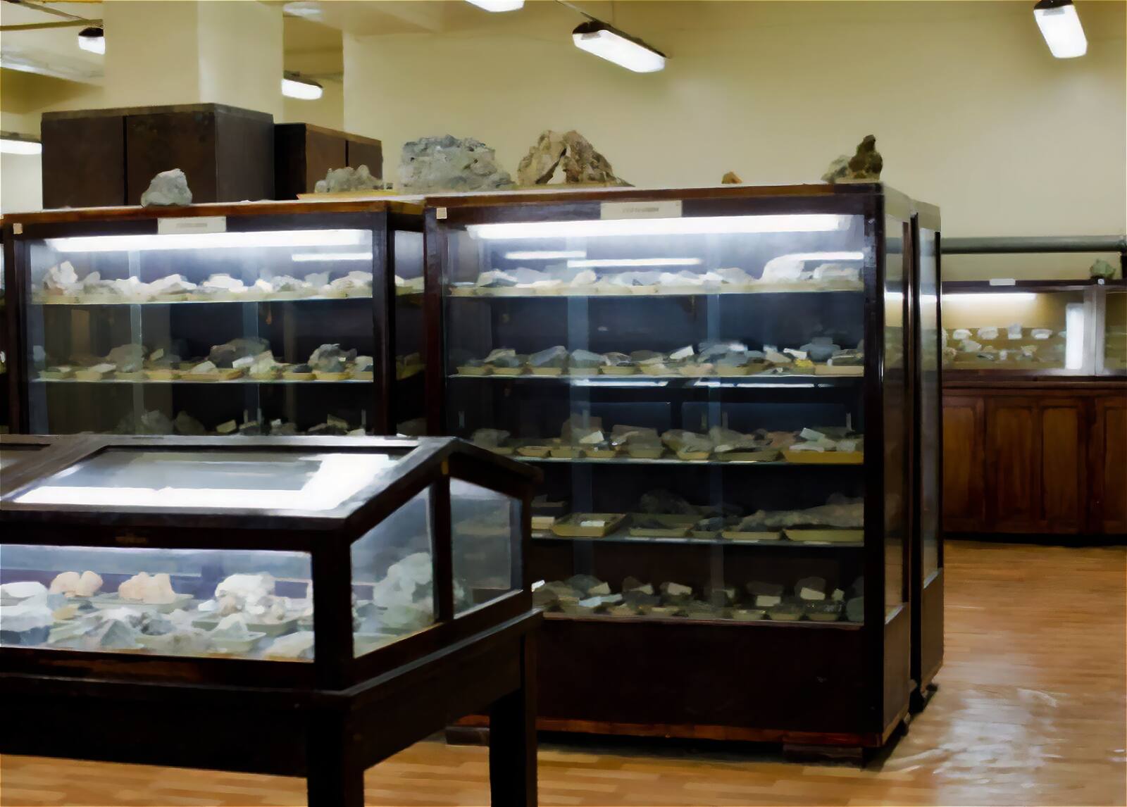 Витрины с экспонатами