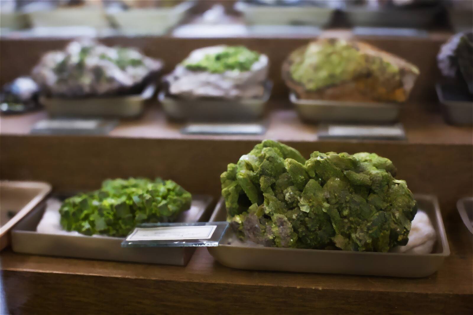 Этот образец похож на обитателя морского дна