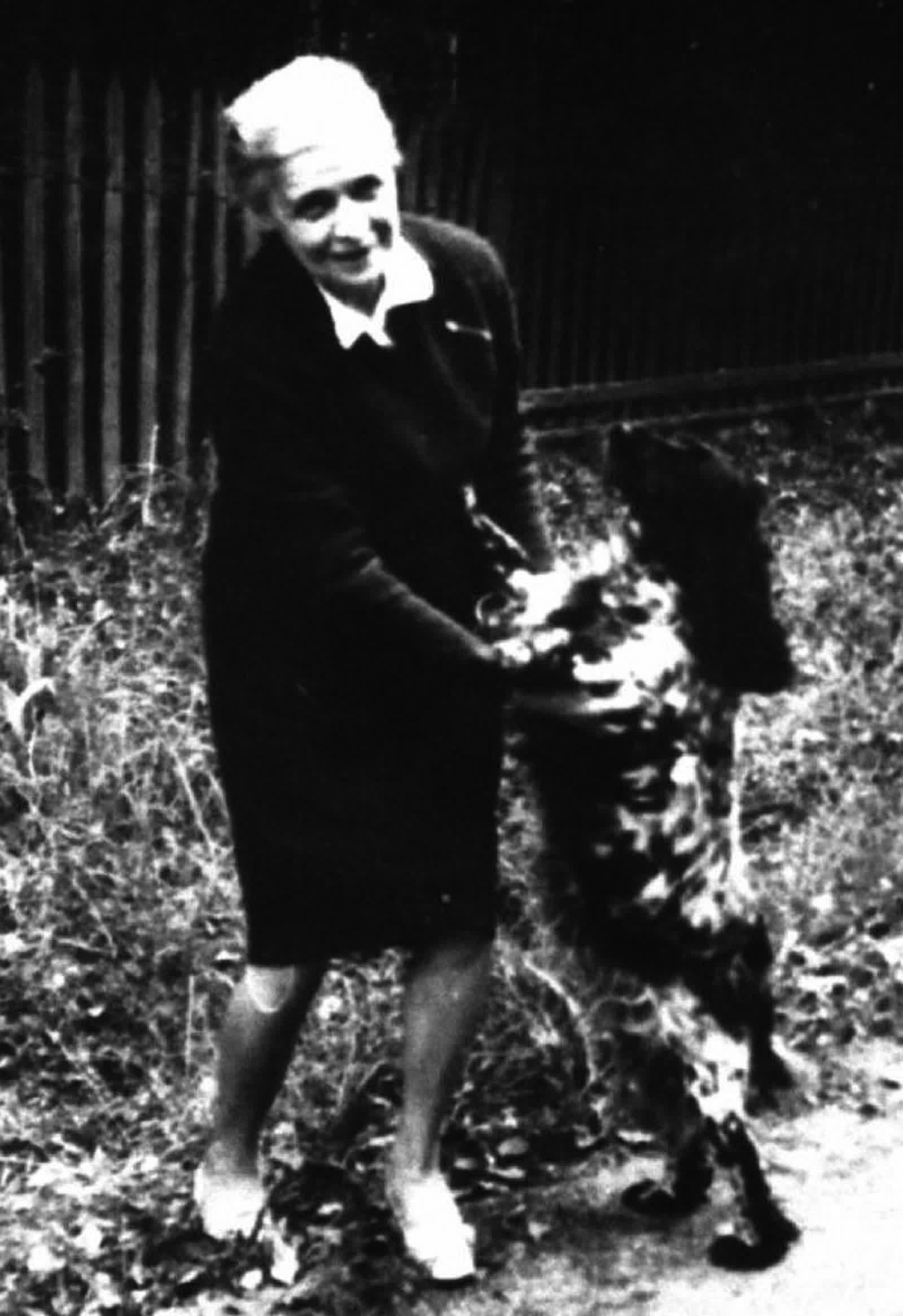 На даче с собачкой