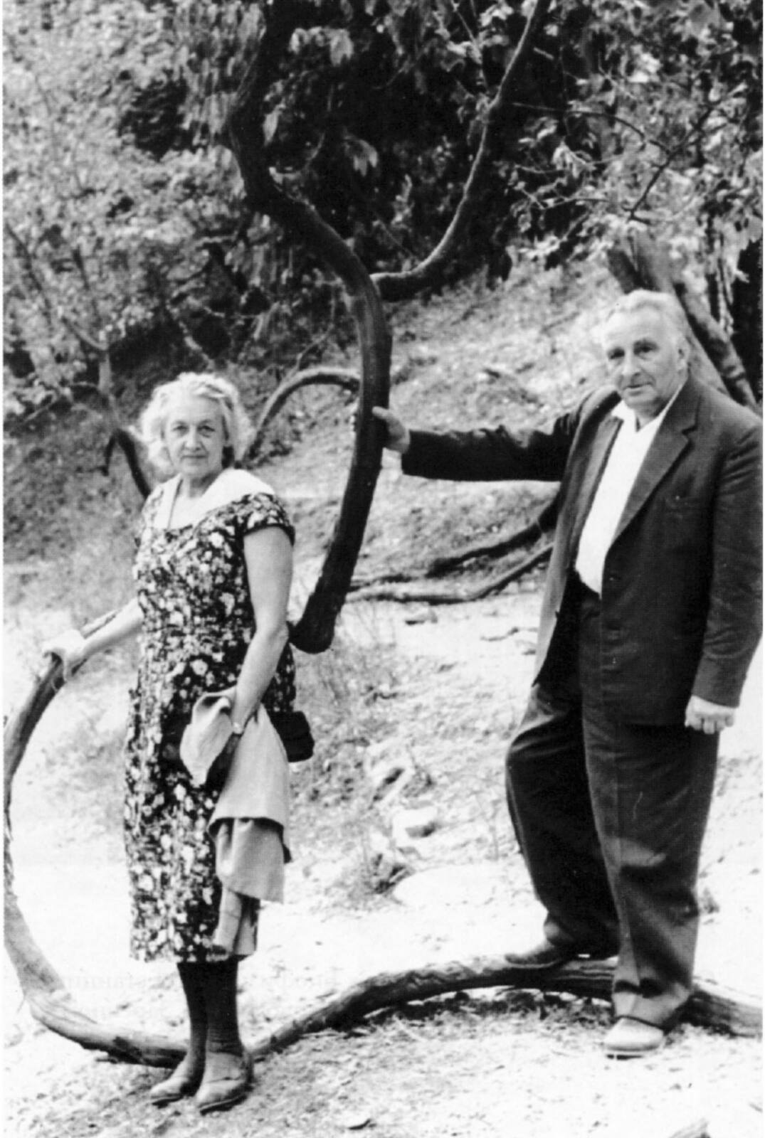 Н.В. Тимофеев-Ресовский с женой Еленой Алексеевной. 1966 г.